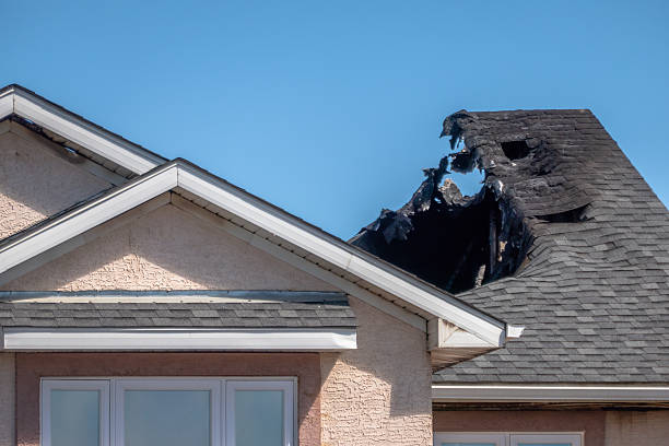 Top rated local Board Up Services specialists in Grasston, MN